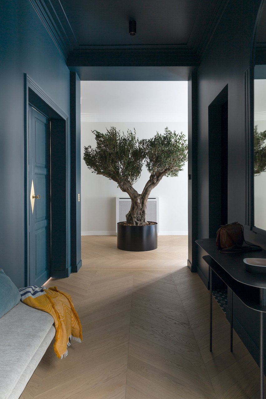 Teal entrance hall with olive tree — Paris 16th