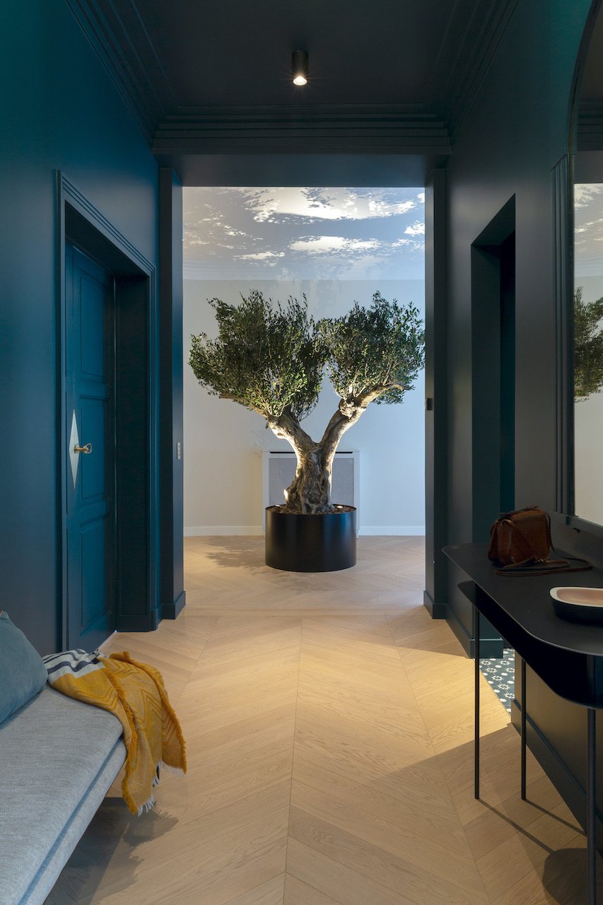 Entrance hall perspective olive tree — Paris 16th